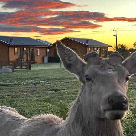 Deerbrooke Kaikoura Chalets - Chalet 2 Bagian luar foto