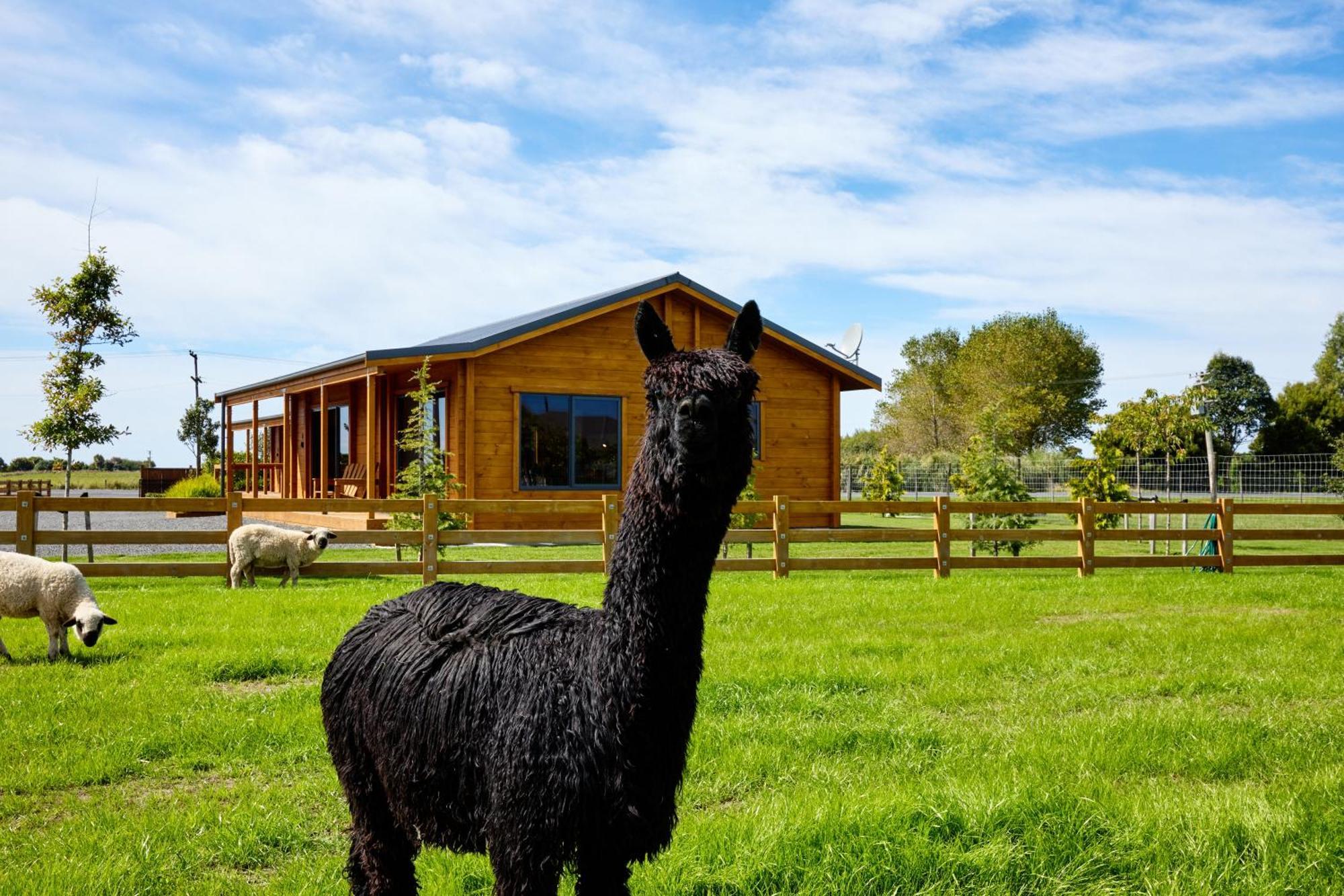 Deerbrooke Kaikoura Chalets - Chalet 2 Bagian luar foto